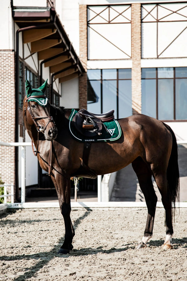 Velvet Saddle Pad with Crystals “Influence”