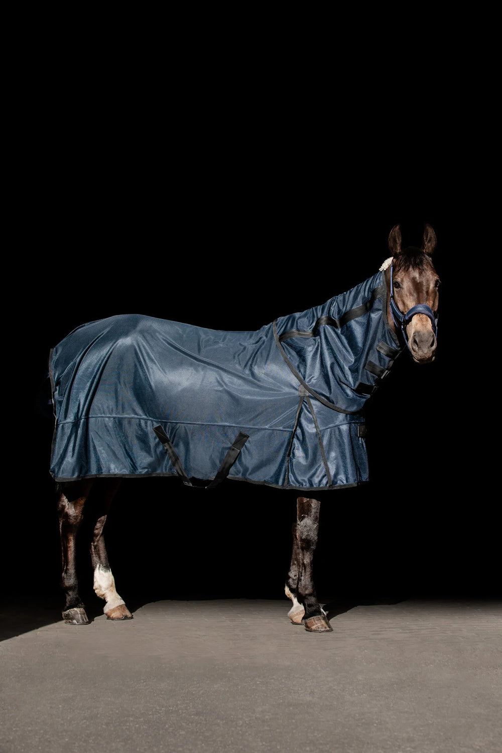 Horse Fly Rug “Shield”