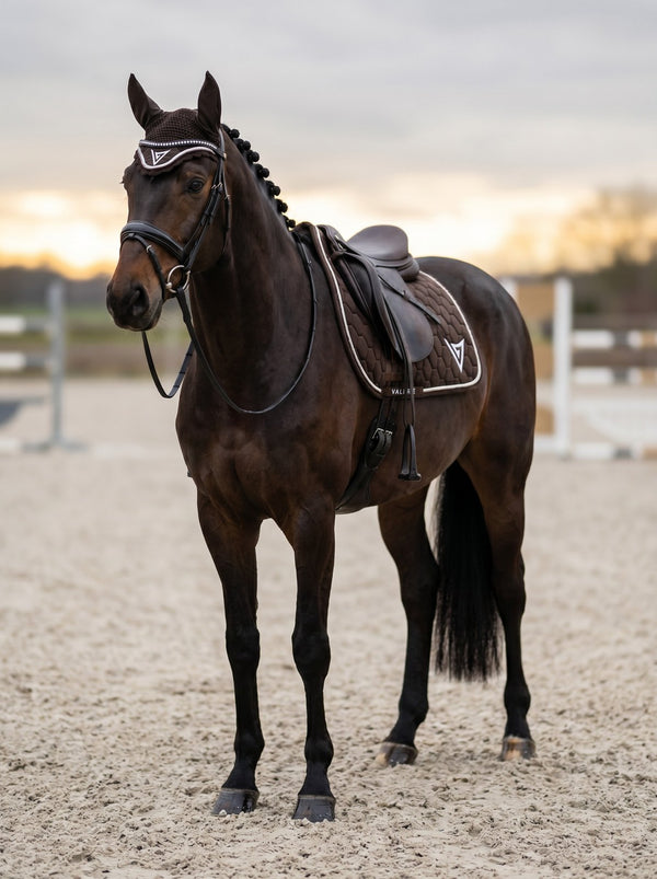 Chocolate knitted velvet ear bonnet with crystals — Valerie Equestrian