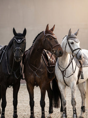 Chocolate velvet ear bonnet, lifestyle — Valerie Equestrian