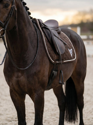 Chocolate velvet saddle pad, lifestyle — Valerie Equestrian