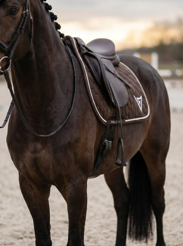 Chocolate velvet saddle pad, lifestyle — Valerie Equestrian